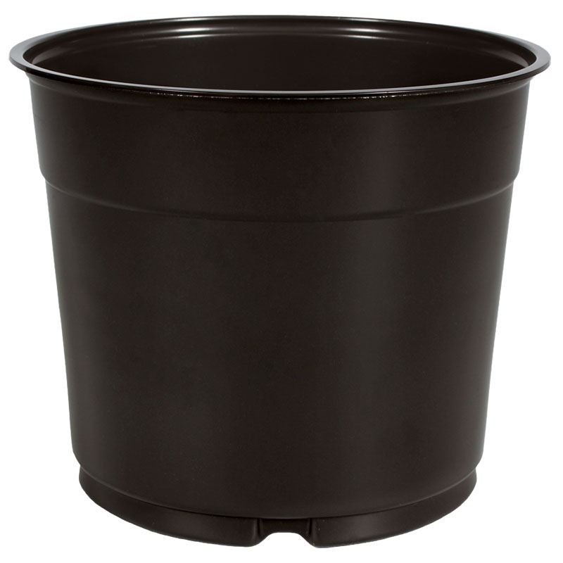 5.5 Inch Azalea Coex Pot Black - 496 per case - Azaleas